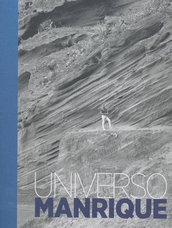 Книга Universo Manrique BRITTO JINORIO