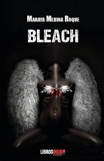 Knjiga Bleach Medina