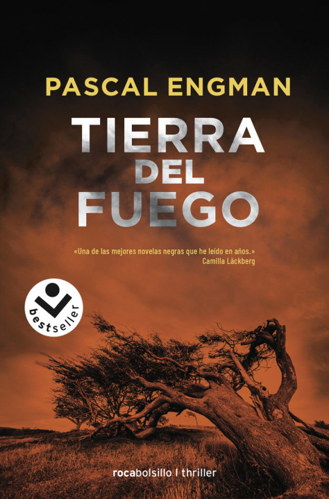 Könyv TIERRA DEL FUEGO (SERIE VANESSA FRANK 1) ENGMAN