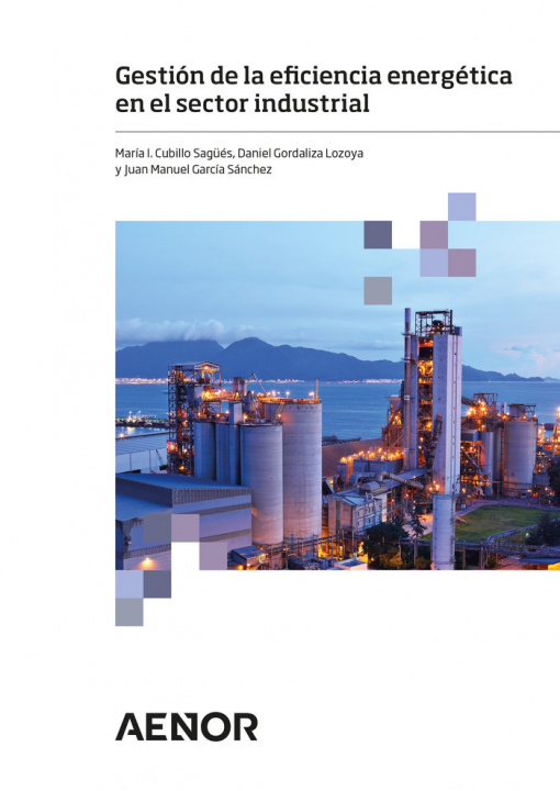 Книга Gestión de la eficiencia energética en el sector industrial Cubillo Sagüés