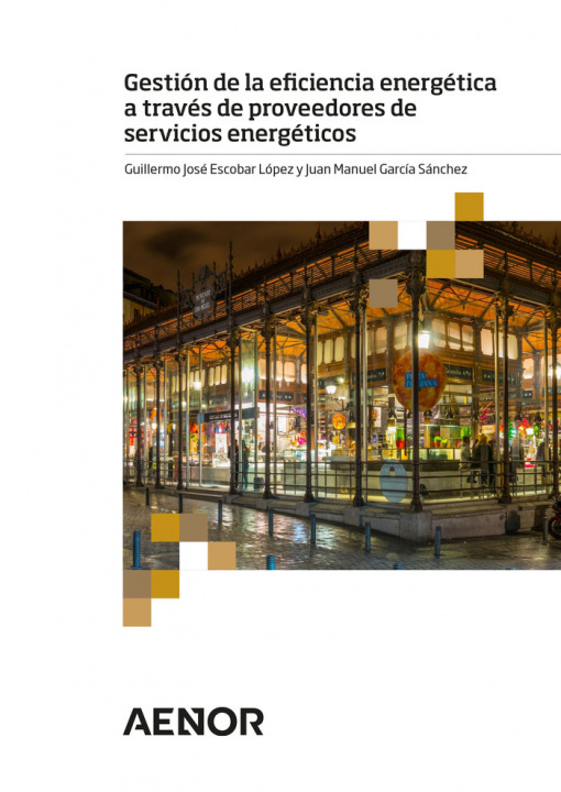 Könyv Gestión de la eficiencia energética a través de proveedores de servicios energéticos Escobar López