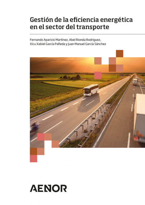 Könyv Gestión de la eficiencia energética en el sector del transporte Aparicio Martínez