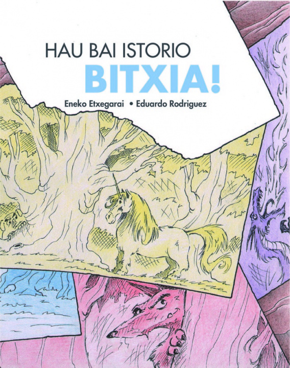 Buch Hau bai historia bitxia Etxegarai Abecia