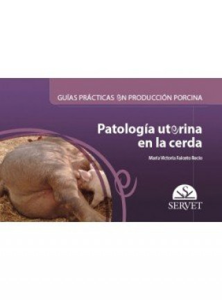 Kniha Guías prácticas en producción porcina. Patología uterina en la cerda Falceto Recio