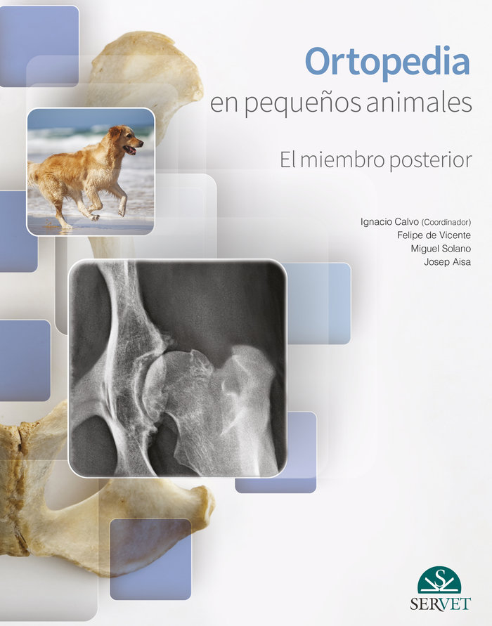 Carte Ortopedia en pequeños animales. El miembro posterior Calvo Bermejo