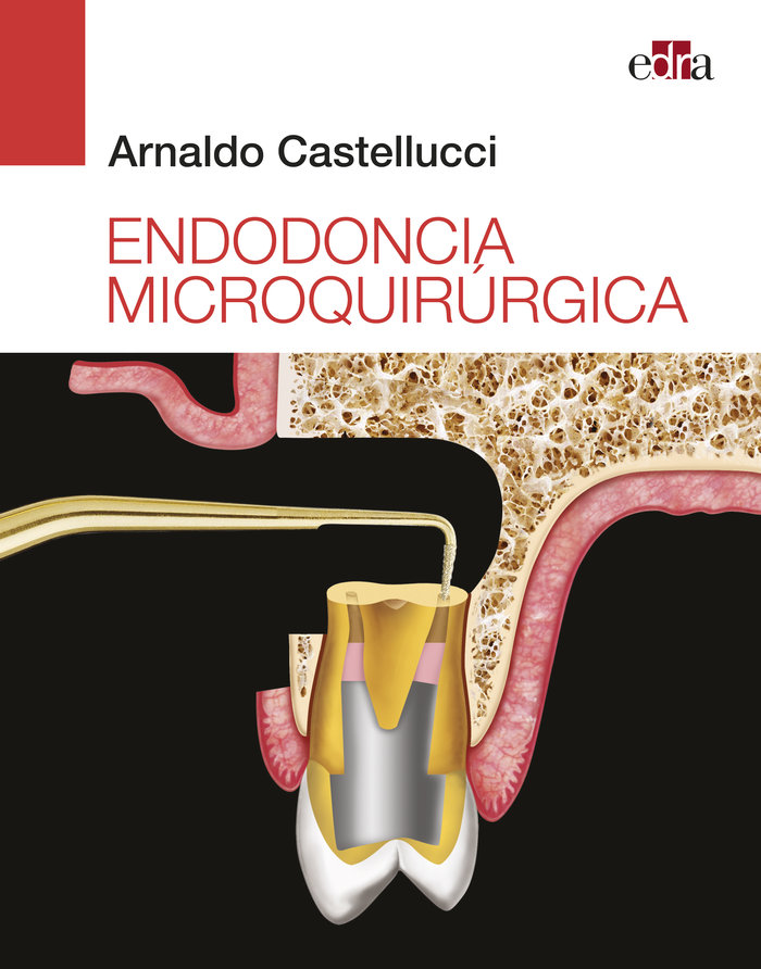 Kniha Endodoncia microquirúrgica Arnaldo Castellucci