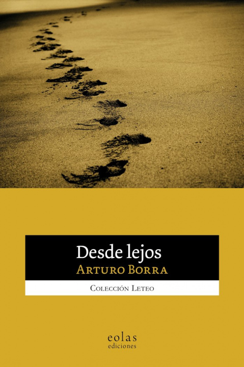 Book Desde lejos Borra