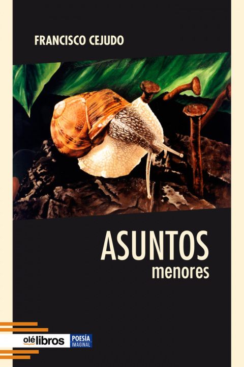 Knjiga Asuntos menores Cejudo Granado