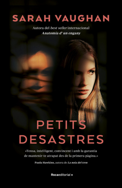 Buch PETITS DESASTRES VAUGHAN