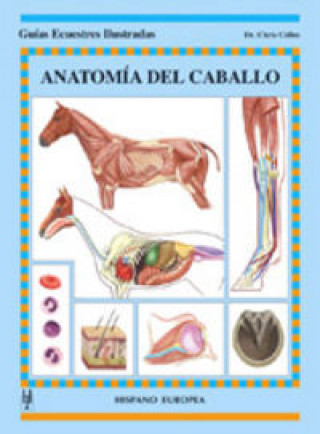 Buch Anatomía del caballo Colles