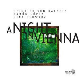 Zvok A Night In Vienna 