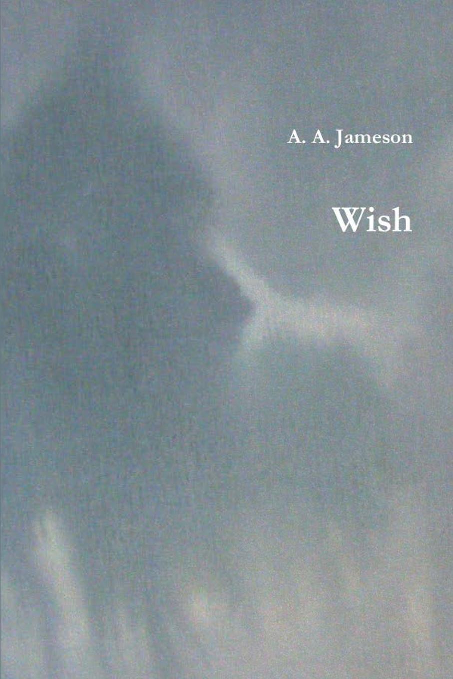Knjiga Wish A. A. Jameson