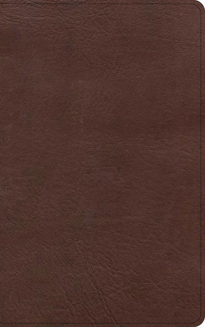 Knjiga KJV Single-Column Personal Size Bible, Brown Leathertouch 