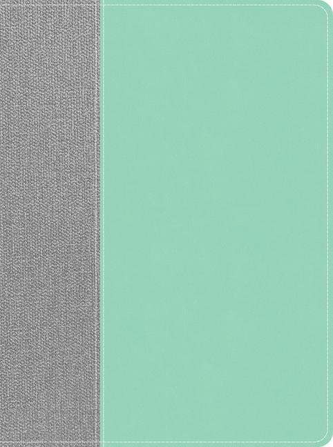Knjiga CSB Lifeway Women's Bible, Gray/Mint Leathertouch Lifeway Women