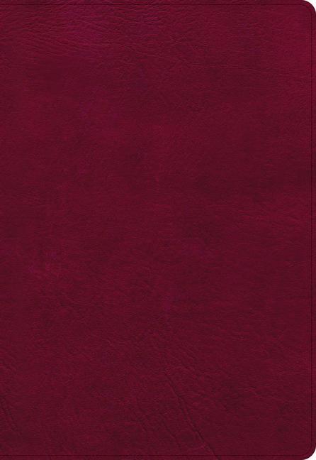 Książka NASB Super Giant Print Reference Bible, Burgundy Leathertouch, Indexed 