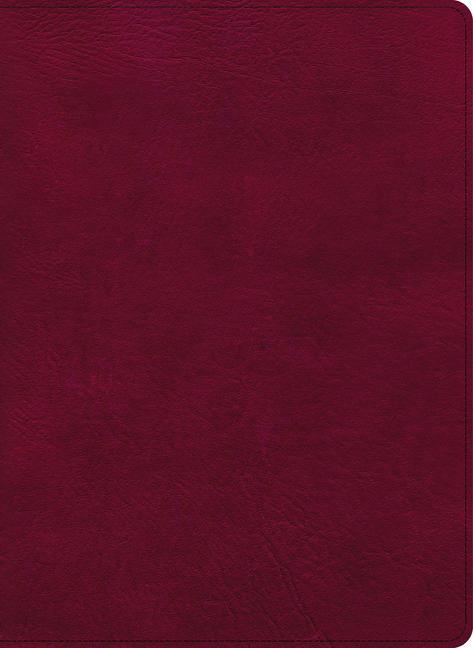 Carte CSB Holy Land Illustrated Bible, Burgundy Leathertouch: A Visual Exploration of the People, Places, and Things of Scripture 