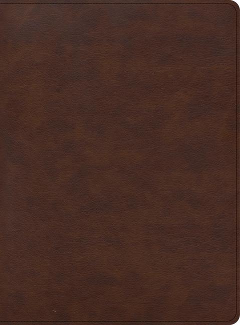 Könyv CSB Apologetics Study Bible for Students, Brown Leathertouch Sean Mcdowell