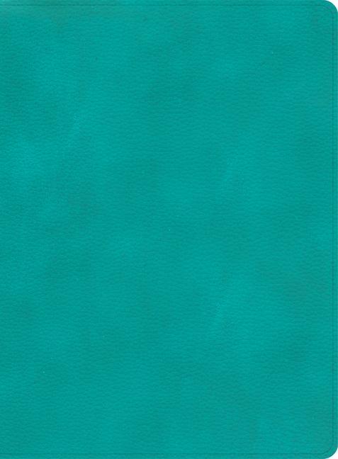 Kniha CSB Apologetics Study Bible, Teal Leathertouch 