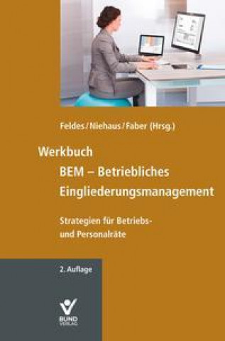 Knjiga Werkbuch BEM - Betriebliches Eingliederungsmanagement Mathilde Niehaus