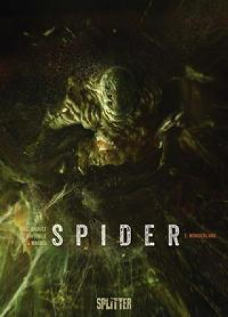 Kniha Spider. Band 2 Stefano Raffaele