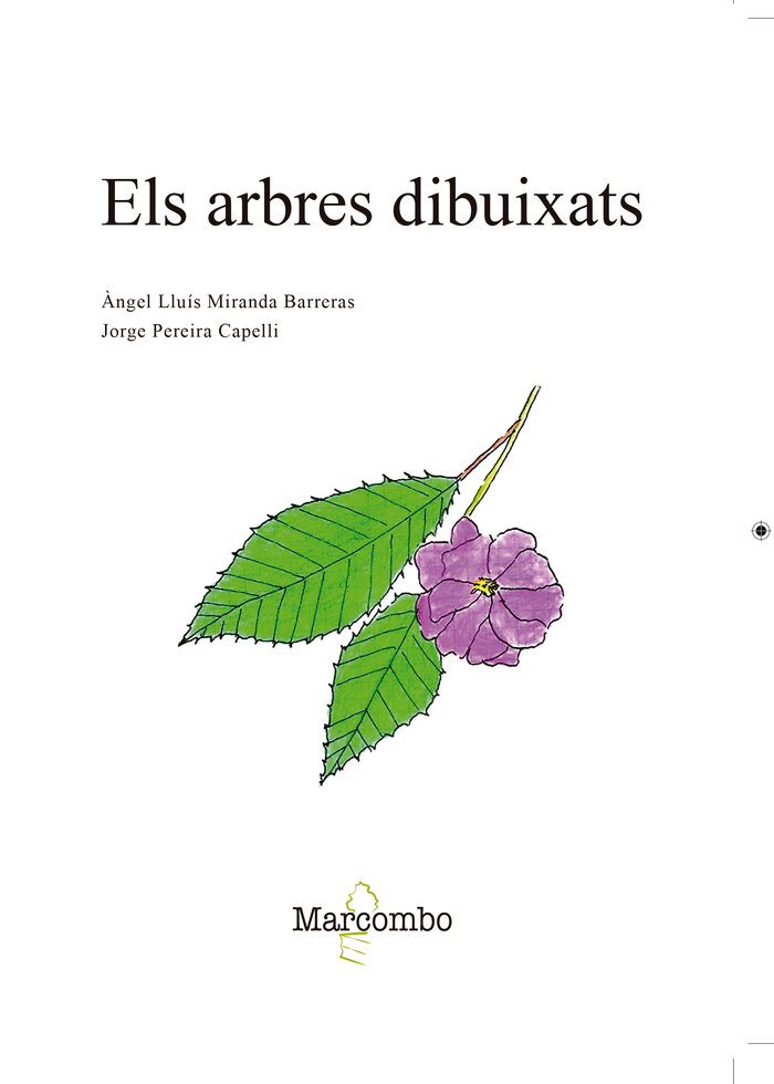 Kniha Els arbres dibuixats Miranda Barreras