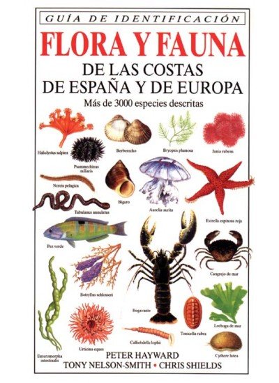 Könyv FLORA Y FAUNA COSTAS ESPAÑA Y EUROPA HAYWARD