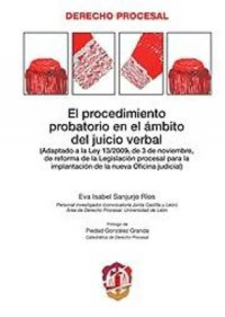 Könyv El procedimiento probatorio en el ámbito del juicio verbal Sanjurjo Ríos