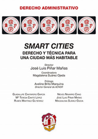 Kniha Smart cities Cantarero García