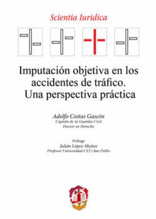 Kniha Imputación objetiva en los accidentes de tráfico Costas Gascón