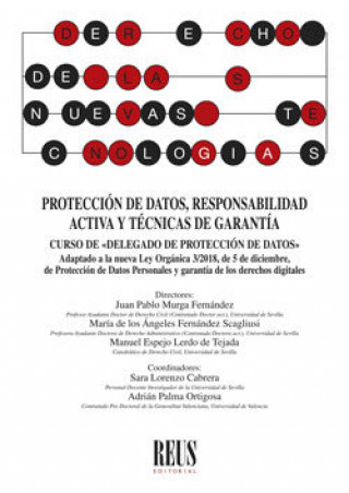 Könyv Curso de Delegado de Protección de Datos de la Prada Espina