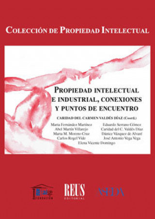 Kniha Propiedad intelectual e industrial, conexiones y puntos de encuentro Fernández Martínez
