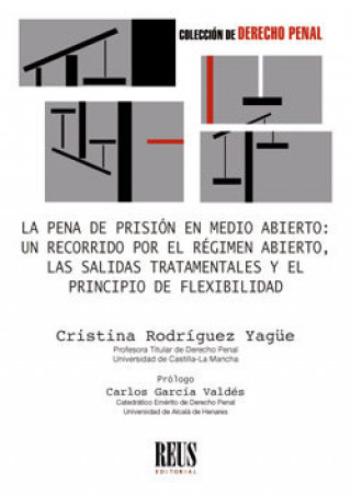 Kniha La pena de prisión en medio abierto: un recorrido por el régimen abierto, las salidas tratamentales Rodríguez Yagüe