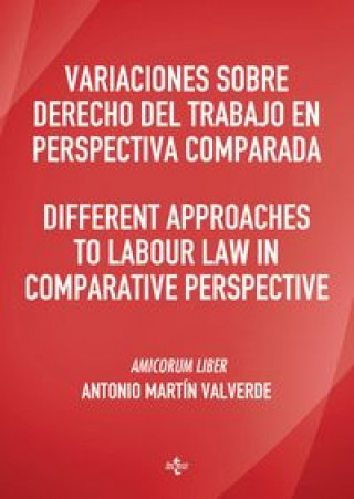 Kniha Variaciones sobre Derecho del Trabajo en perspectiva comparada. Different approaches to Labour Law i Caray-Hall