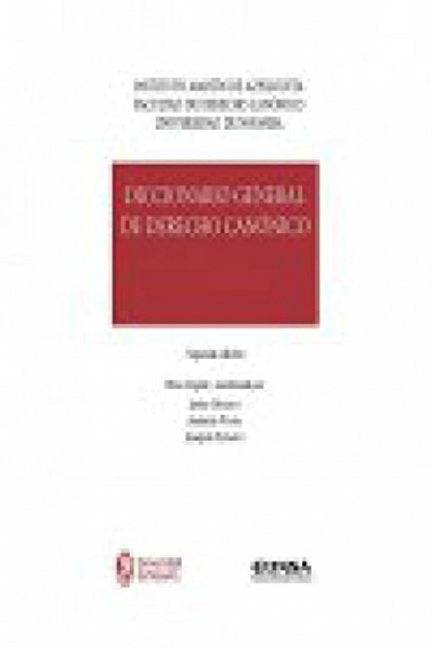 Könyv DICCIONARIO GENERAL DE DERECHO CANONICO VOL I VII OTADUY