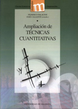 Buch AMPLIACION DE TECNICAS CUANTITATIVAS PALACIOS
