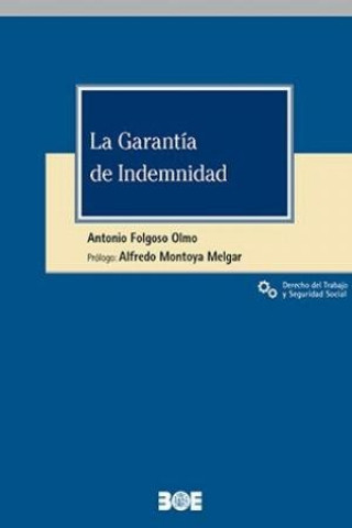 Buch LA GARANTIA DE INDEMNIDAD FOLGOSO OLMO