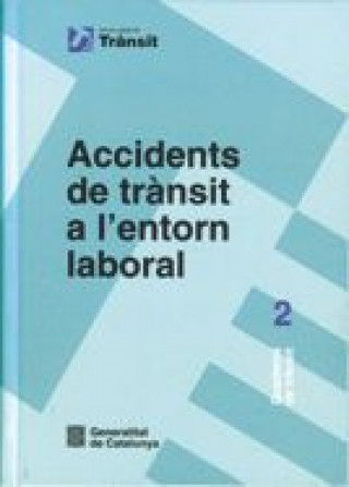 Kniha ACCIDENTS DE TRANSIT A L'ENTORN LABORAL CABRERIZO I SINCA