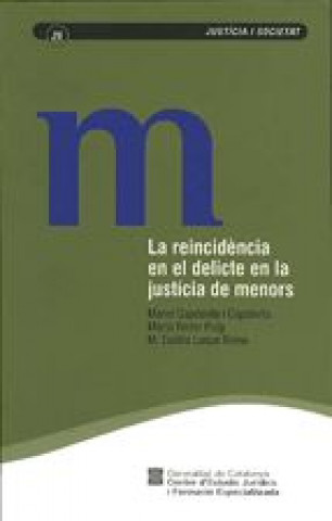 Könyv REINCIDENCIA EN EL DELICTE EN LA JUSTICIA DE MENORS FERRER PUIG