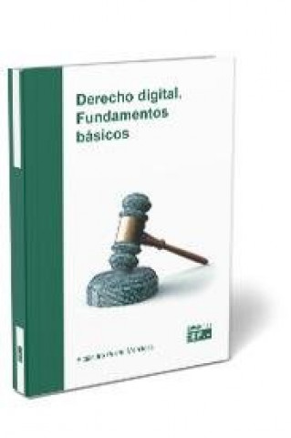 Boek Derecho digital. Fundamentos básicos Puerto Mendoza