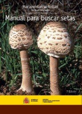Kniha Manual para buscar setas García Rollán