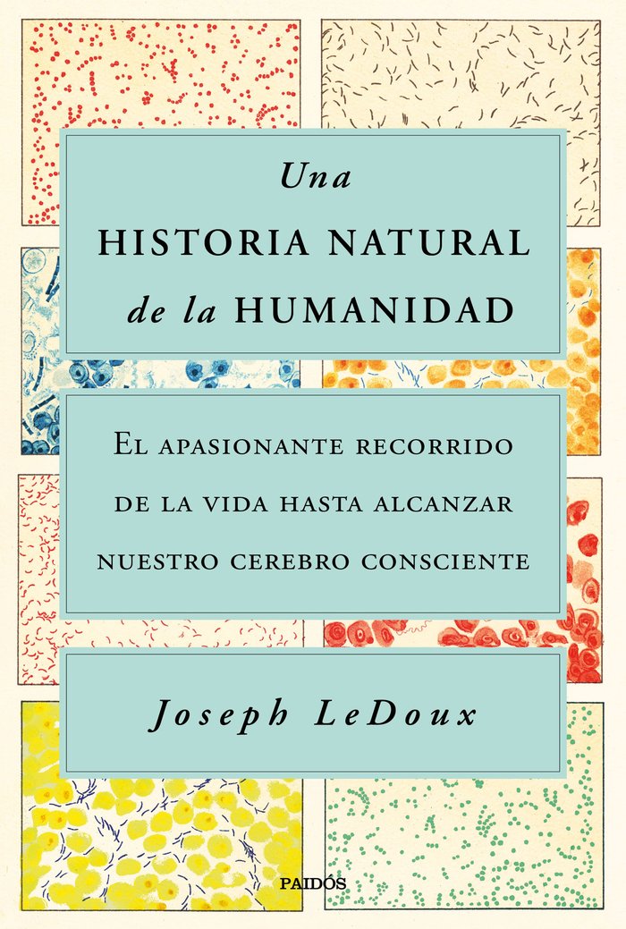 Kniha UNA HISTORIA NATURAL DE LA HUMANIDAD JOSEPH LEDOUX