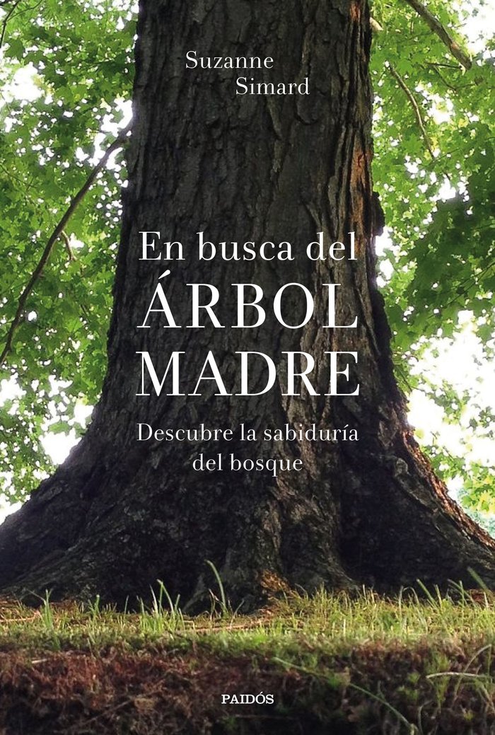 Kniha EN BUSCA DEL ARBOL MADRE SUZANNE SIMARD