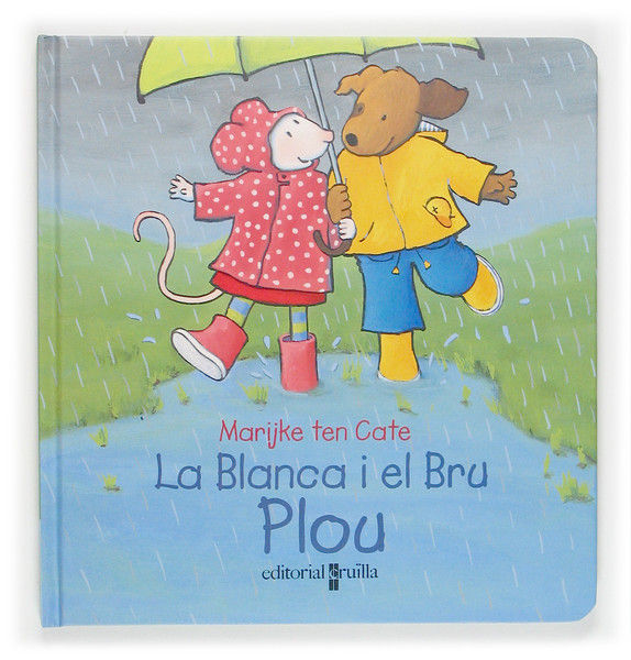 Boek Plou TEN CATE