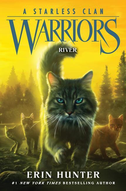 Könyv Warriors: A Starless Clan #1: River Erin Hunter