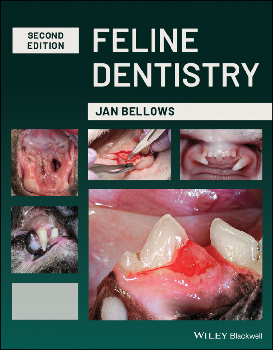 Könyv Feline Dentistry Jan Bellows