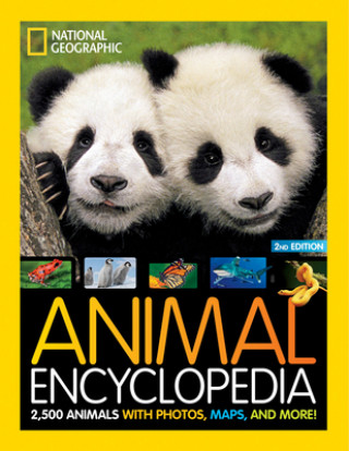 Książka Animal Encyclopedia Angela Modany