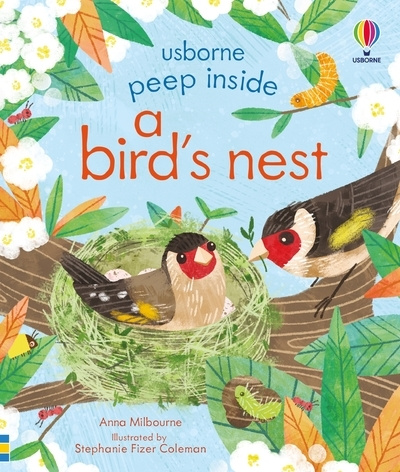 Carte Peep Inside a Bird's Nest 