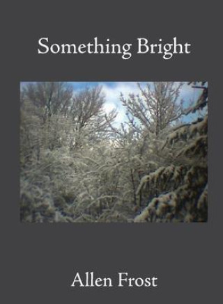 Книга Something Bright Frost Allen Frost