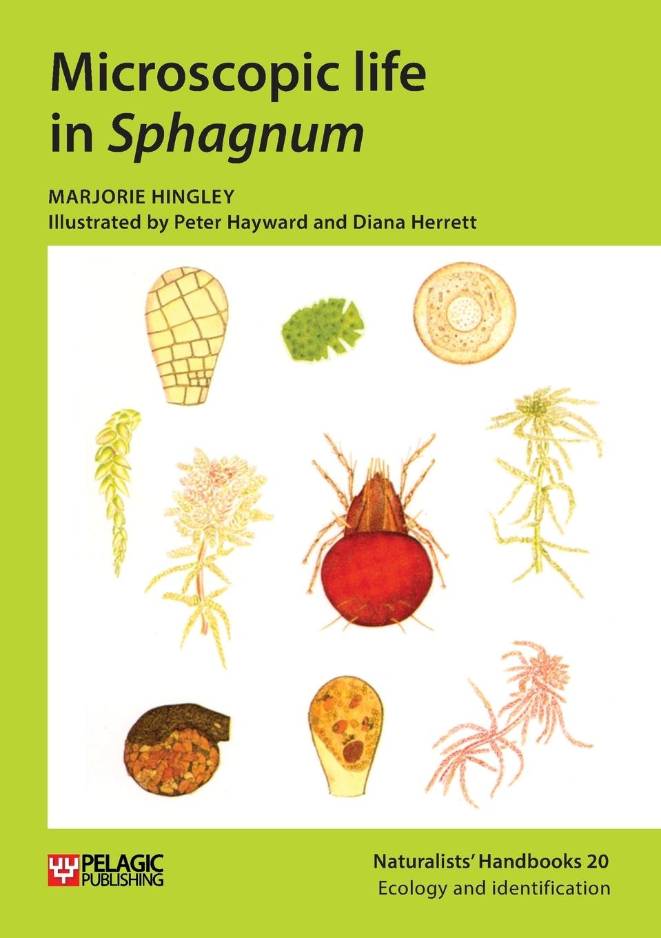 Kniha Microscopic life in Sphagnum Marjorie Hingley