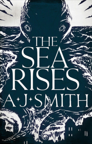 Buch Sea Rises A.J. Smith